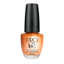 Classic nail polish Proline 005