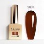 9067 9ml CANNI gelinis nagų lakas TRANSPARENT
