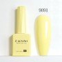 9091 9ml CANNI gel nail polish