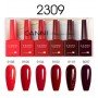 9ml CANNI Nail Gel 6 Colors Set 2309