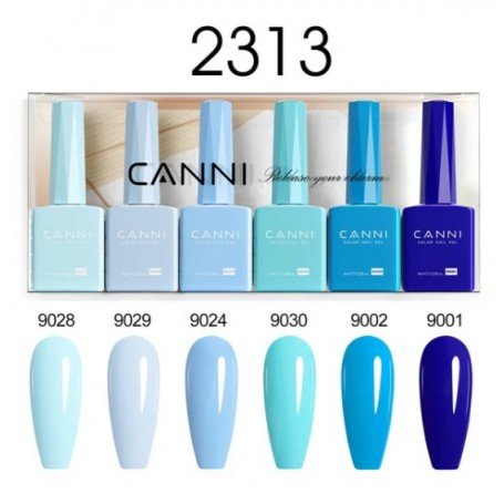 9ml CANNI Nail Gel 6 Colors Set 2313