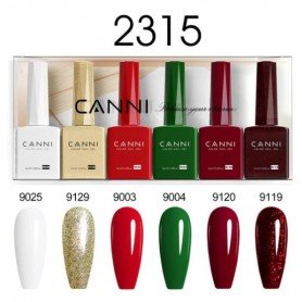 9ml CANNI 6 spalvų rinkinys 2315