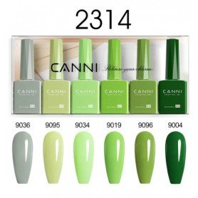 9ml CANNI 6 spalvų rinkinys 2314