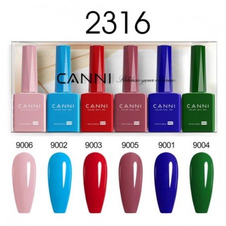 9ml CANNI 6 värvi komplekt 2316