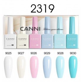 9ml CANNI 6 spalvų rinkinys 2319