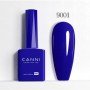 9001 9ml CANNI Longer delivery time up to 10 business days
