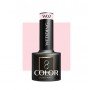 wedding W02 Ocho Nails 5g Gēla laka