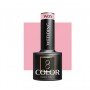 wedding W05  Ocho Nails 5g Гель-лак