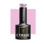 wedding W07 Ocho Nails 5g Gēla laka