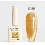 8029 HEMA FREE Cat Eye Gel 9ml