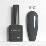 9047 9ml CANNI Срок доставки до 10 рабочих дней