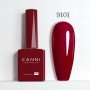 9101 9ml CANNI Longer delivery time up to 10 business days