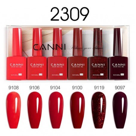 9ML Nail Gel 6 Colors Set 2309. Tarneaeg kuni 10 tööpäeva
