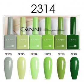 9ML Nail Gel 6 Colors Set 2314. Longer delivery time up to 10 business days