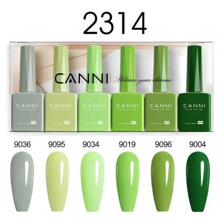 9ML Nail Gel 6 Colors Set 2314. Longer delivery time up to 10 business days