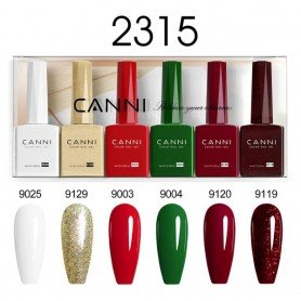9ML Nail Gel 6 Colors Set 2315. Longer delivery time up to 10 business days