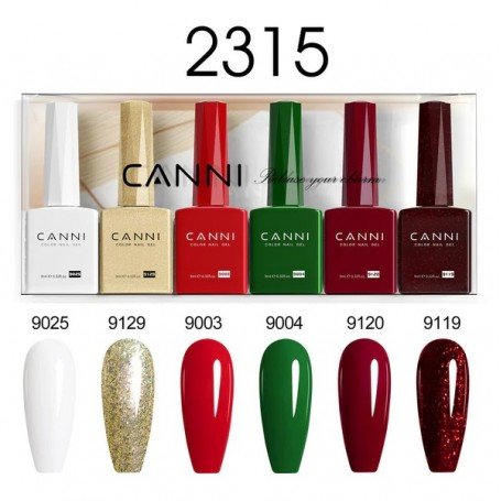 9ML Nail Gel 6 Colors Set 2315. Tarneaeg kuni 10 tööpäeva