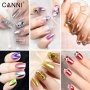 Canni Mirror Powder F11