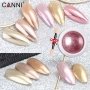 Canni Mirror Powder F11